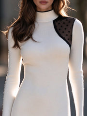 Mock Neck Contrast Trim Polka Dot Mesh Knit Mini Dress