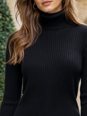 Contrast Cuff Layered Turtleneck Sweater